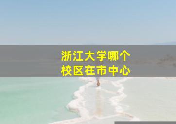 浙江大学哪个校区在市中心