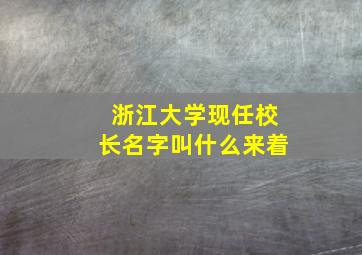 浙江大学现任校长名字叫什么来着