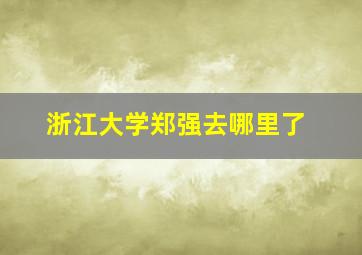 浙江大学郑强去哪里了