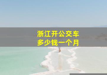 浙江开公交车多少钱一个月