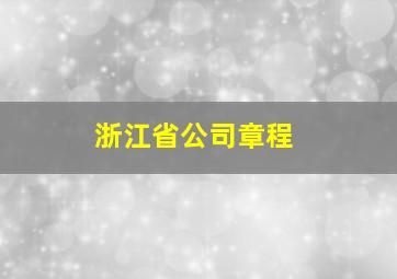 浙江省公司章程