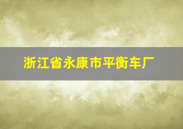 浙江省永康市平衡车厂