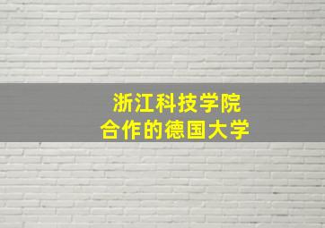 浙江科技学院合作的德国大学