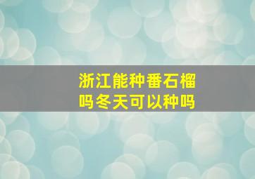 浙江能种番石榴吗冬天可以种吗