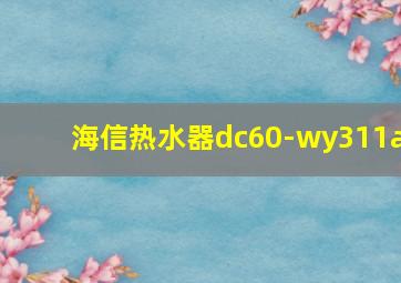 海信热水器dc60-wy311a