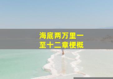 海底两万里一至十二章梗概