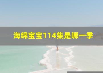 海绵宝宝114集是哪一季