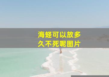 海蛏可以放多久不死呢图片