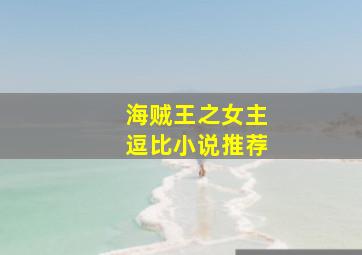 海贼王之女主逗比小说推荐