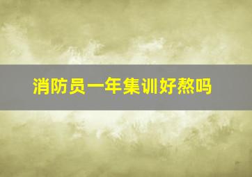 消防员一年集训好熬吗