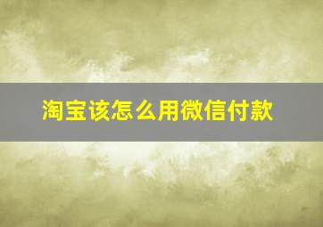 淘宝该怎么用微信付款