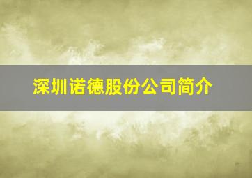 深圳诺德股份公司简介