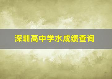 深圳高中学水成绩查询