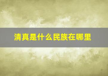 清真是什么民族在哪里