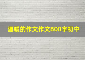 温暖的作文作文800字初中