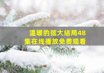 温暖的弦大结局48集在线播放免费观看