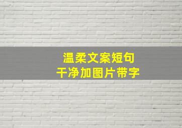 温柔文案短句干净加图片带字