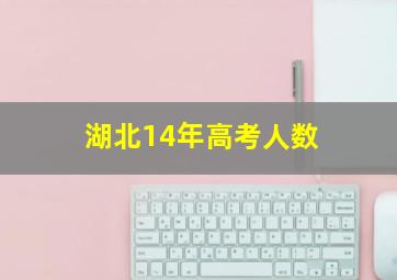 湖北14年高考人数