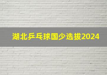 湖北乒乓球国少选拔2024