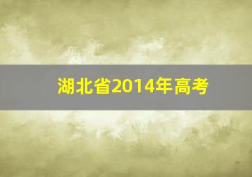 湖北省2014年高考