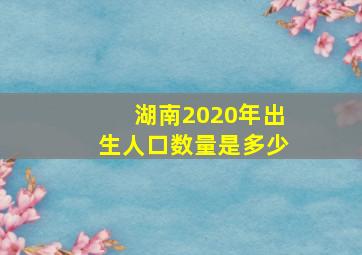 湖南2020年出生人口数量是多少