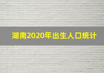 湖南2020年出生人口统计