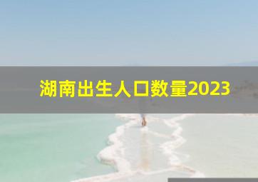 湖南出生人口数量2023