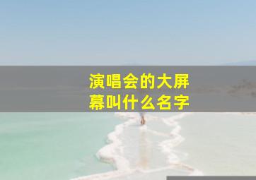 演唱会的大屏幕叫什么名字