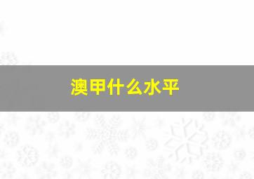 澳甲什么水平