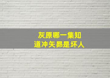 灰原哪一集知道冲矢昴是坏人