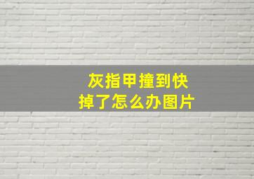 灰指甲撞到快掉了怎么办图片