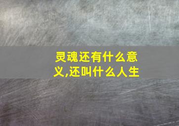 灵魂还有什么意义,还叫什么人生