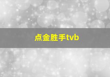 点金胜手tvb