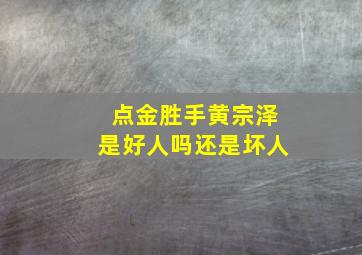 点金胜手黄宗泽是好人吗还是坏人