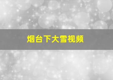 烟台下大雪视频