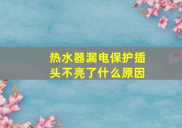 热水器漏电保护插头不亮了什么原因