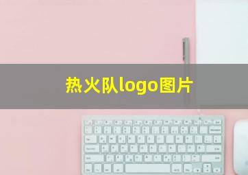 热火队logo图片