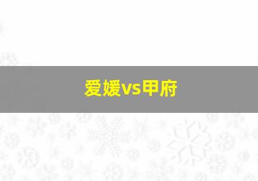 爱媛vs甲府