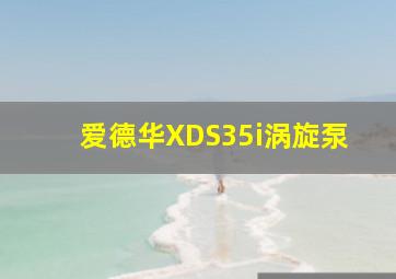 爱德华XDS35i涡旋泵