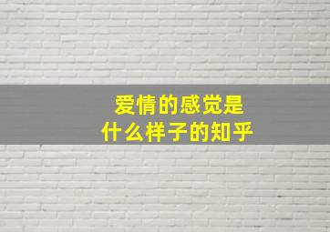 爱情的感觉是什么样子的知乎