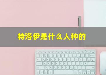 特洛伊是什么人种的