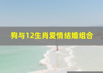 狗与12生肖爱情结婚组合