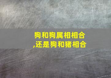 狗和狗属相相合,还是狗和猪相合