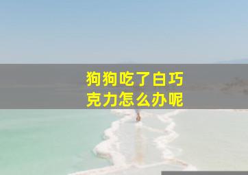 狗狗吃了白巧克力怎么办呢