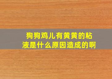 狗狗鸡儿有黄黄的粘液是什么原因造成的啊