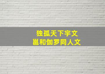 独孤天下宇文邕和伽罗同人文