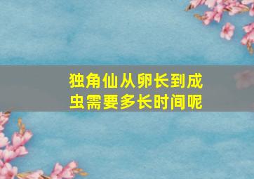 独角仙从卵长到成虫需要多长时间呢