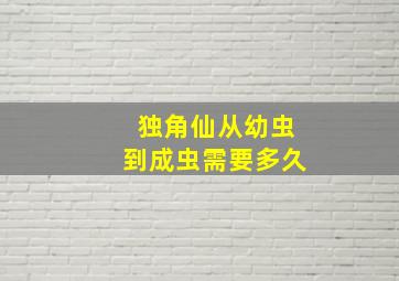 独角仙从幼虫到成虫需要多久