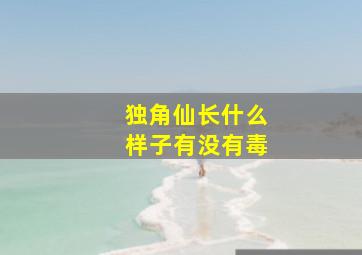 独角仙长什么样子有没有毒