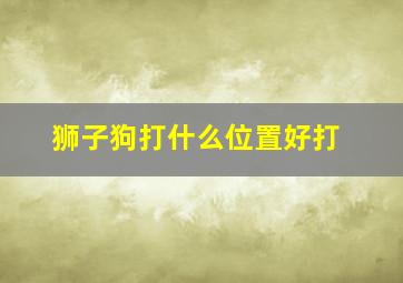 狮子狗打什么位置好打